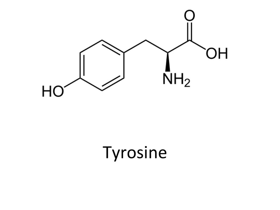 Tyrosine