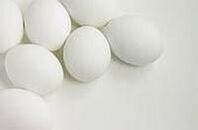 egg